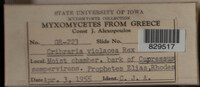 Image Associated With the Occurence